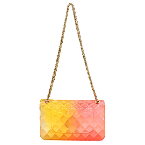 Fashionista Multi Color Jelly Shoulder Bag