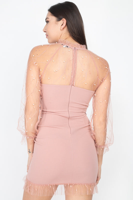 Blush Pearl Trim Mesh Bodycon Dress